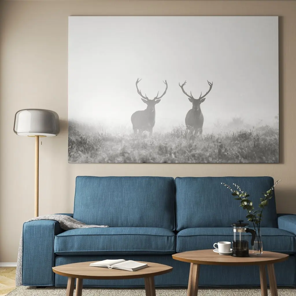 БЬЁРКСТА — изображение 3