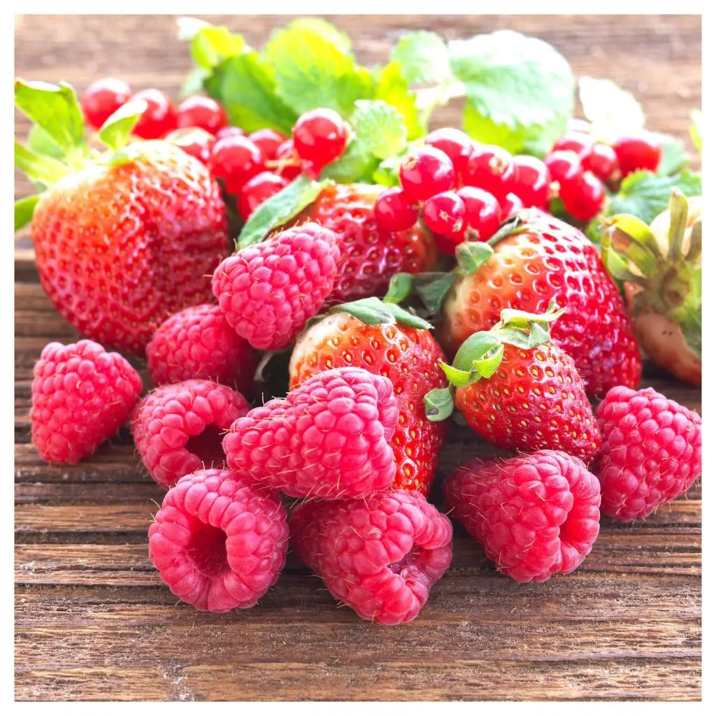 ДОФТА — изображение 4