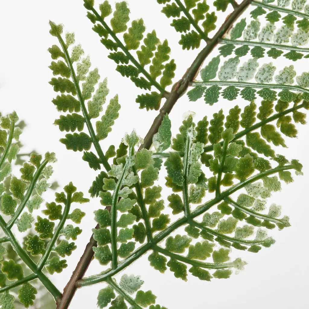 FEJKA ФЕЙКА — изображение 3