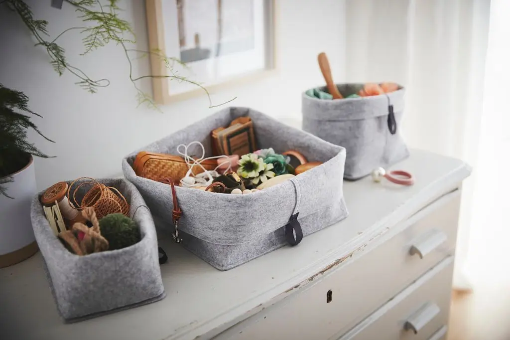 РАГГИСАР — изображение 5